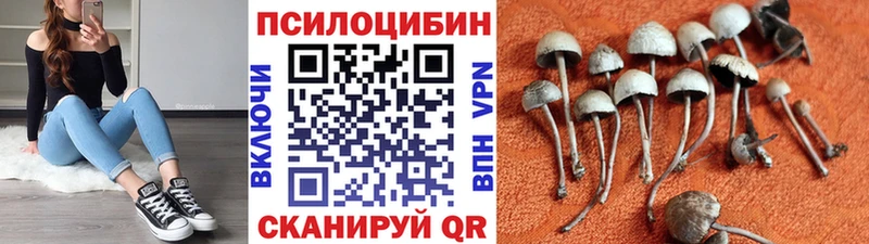 Псилоцибиновые грибы Psilocybine cubensis  Заозёрск 